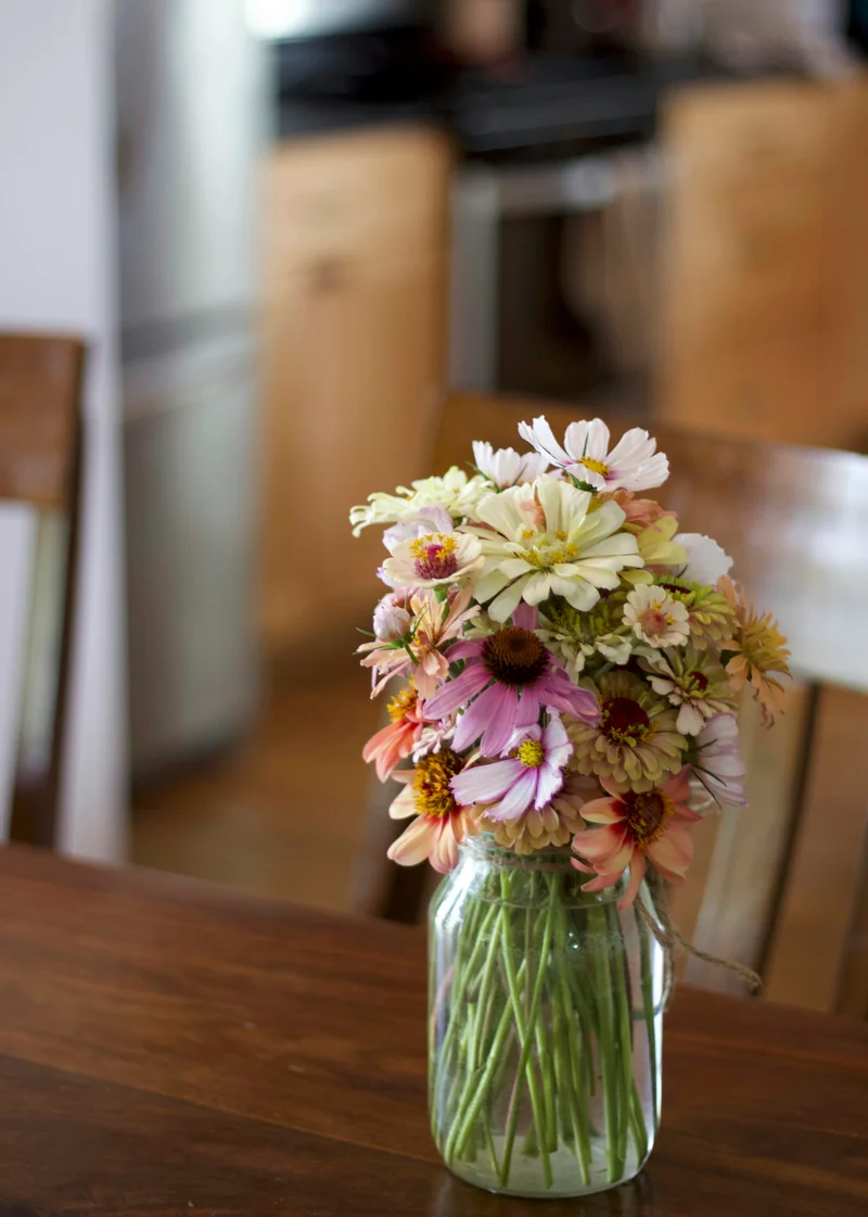A vase of flowers catches the light in a kitchen.
